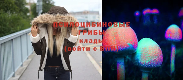 бошки Алексеевка