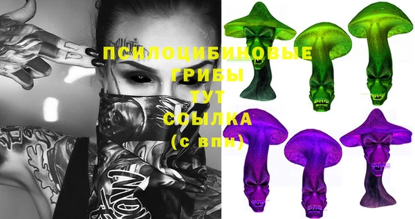 МДПВ Краснослободск