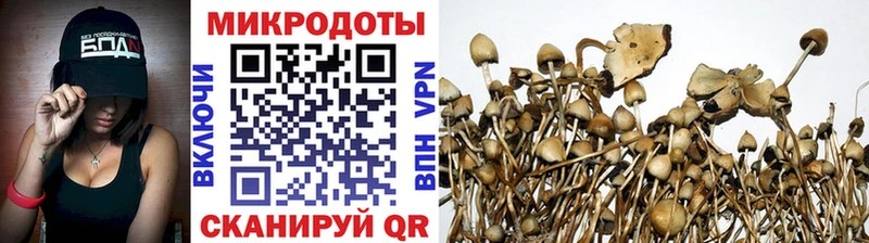 Галлюциногенные грибы прущие грибы  Калтан 
